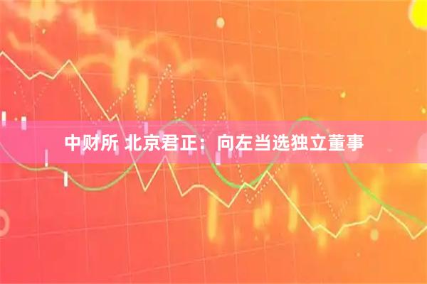 中财所 北京君正：向左当选独立董事