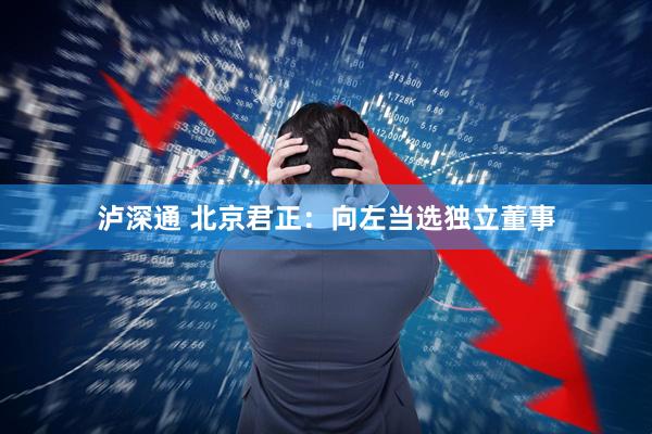 泸深通 北京君正：向左当选独立董事