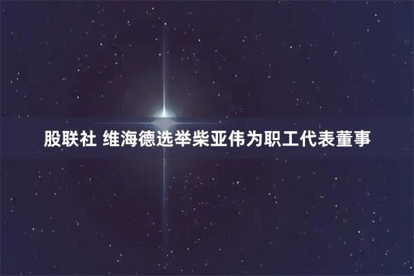 股联社 维海德选举柴亚伟为职工代表董事