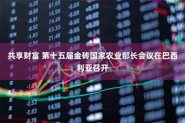 共享财富 第十五届金砖国家农业部长会议在巴西利亚召开