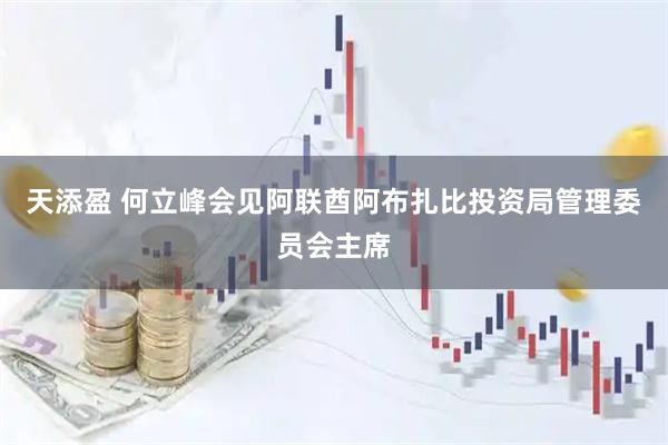 天添盈 何立峰会见阿联酋阿布扎比投资局管理委员会主席