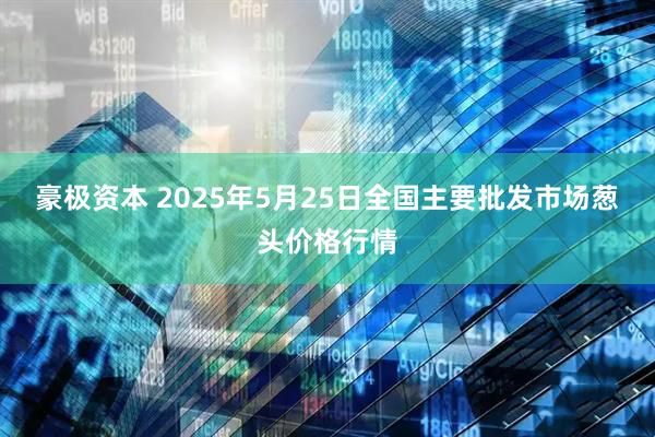 豪极资本 2025年5月25日全国主要批发市场葱头价格行情