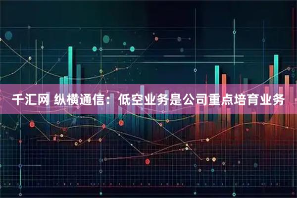 千汇网 纵横通信：低空业务是公司重点培育业务