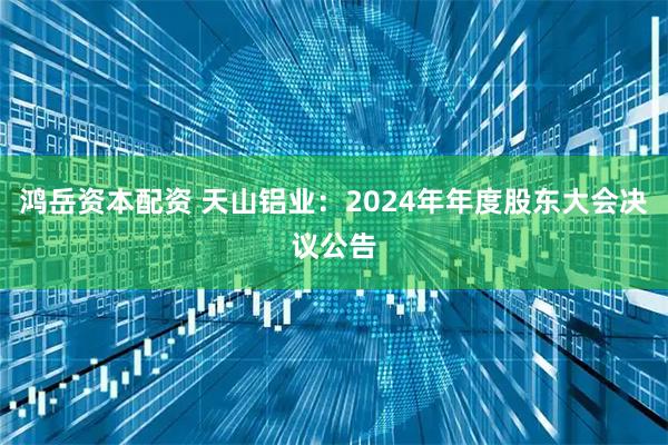 鸿岳资本配资 天山铝业：2024年年度股东大会决议公告